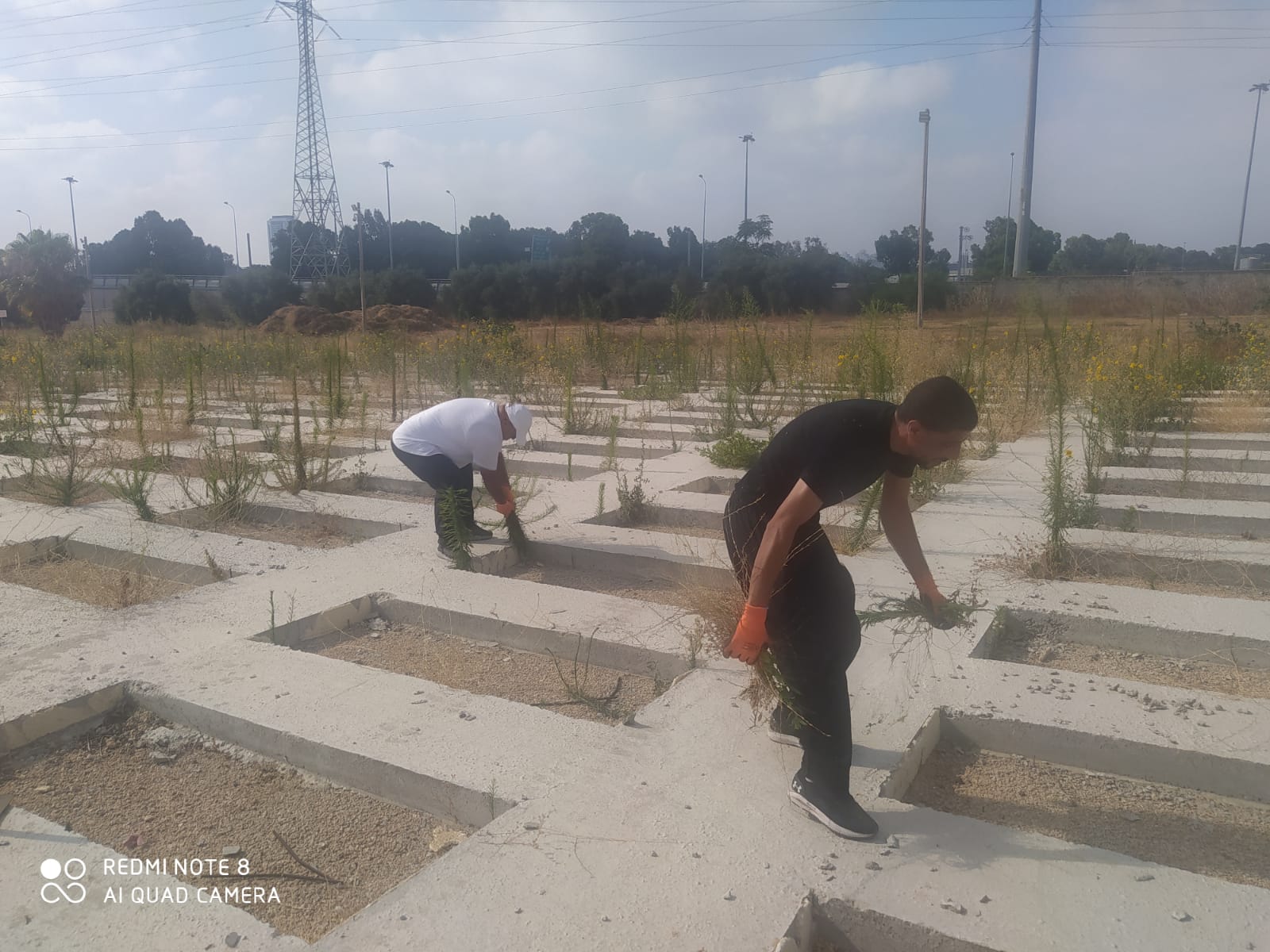 WhatsApp Image 2021-07-10 at 9.38.30 AM (3).jpeg